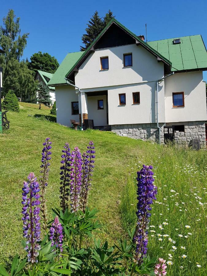 U Kobru Apartment Spindleruv Mlyn Exterior photo